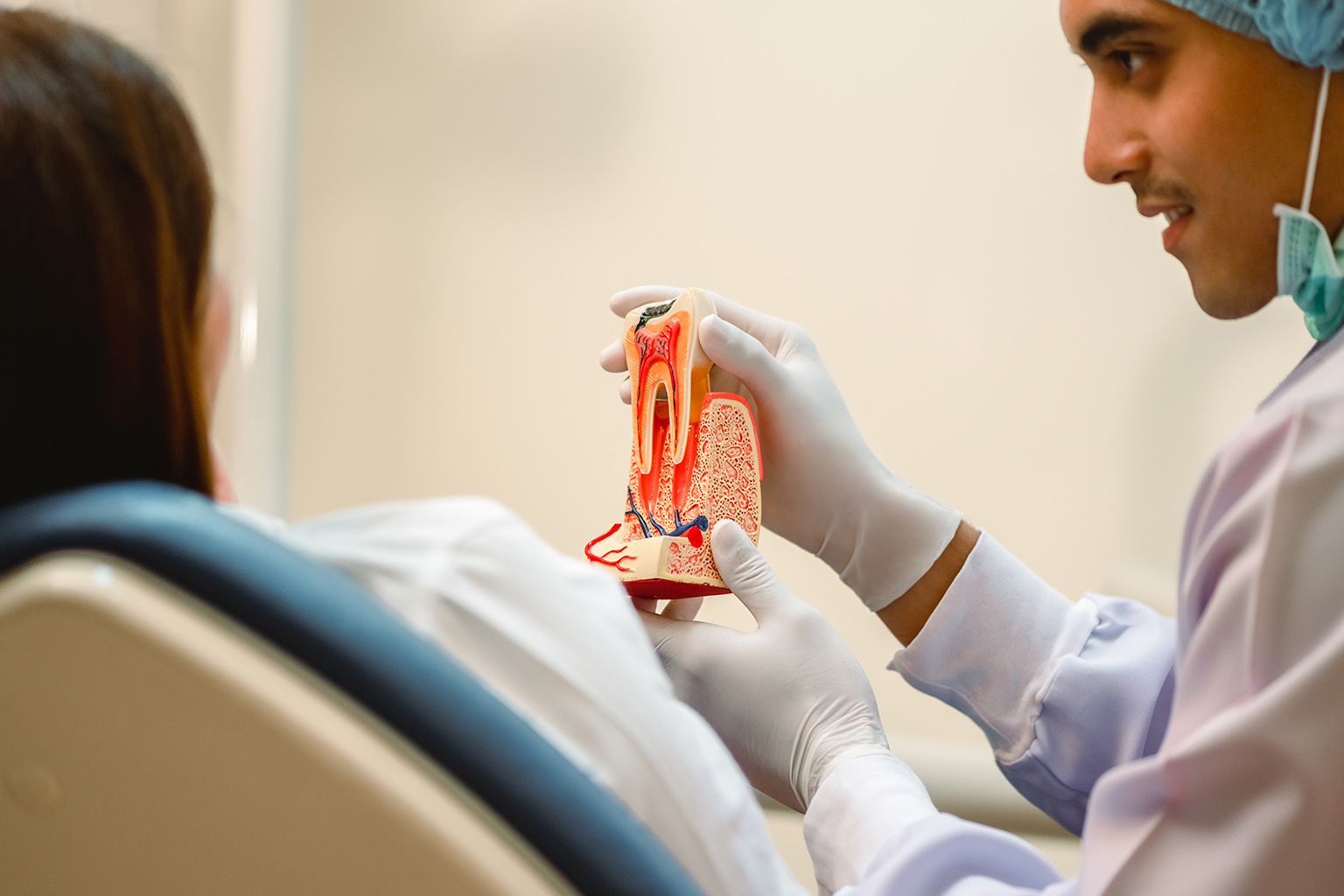 doctor showing a tooth model with the anatomy exposed to a patient